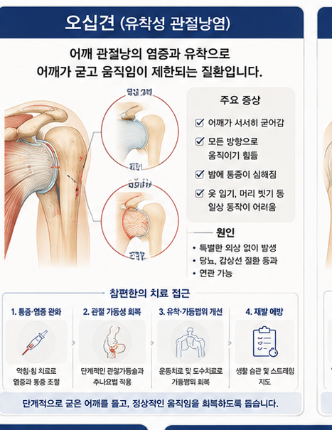 오십견(유착성 관절낭염) 설명 이미지