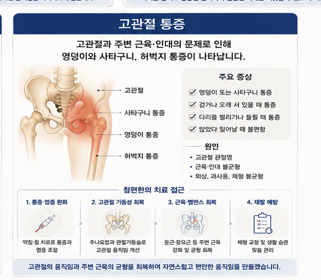 고관절 통증 설명 이미지