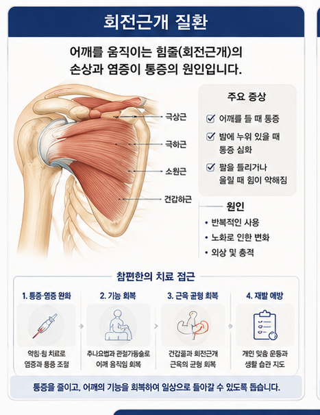 회전근개 질환 설명 이미지
